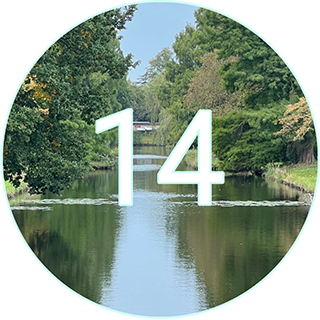 14